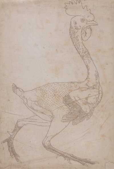 Studie eines Huhns, Seitenansicht, aus Ein Vergleichender Anatomischer Exposition der Struktur des menschlichen Körpers mit der eines Tigers und eines gewöhnlichen Huhns, 1795-1806 von George Stubbs
