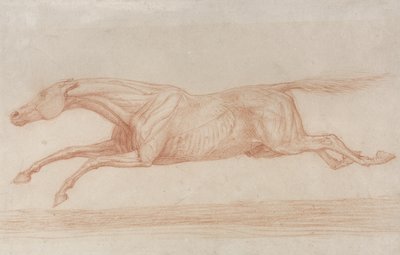 Studie eines Rennpferdes in Aktion: nach links galoppierend von George Stubbs