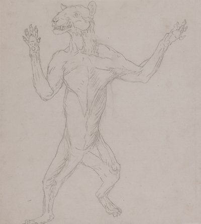 Studie eines Tigers, in menschlicher Haltung stehend, aus A Comparative Anatomical Exposition of the Structure of the Human Body with that of a Tiger and a Common Fowl, 1795-1806 von George Stubbs
