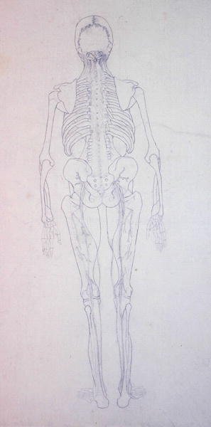 Studie der menschlichen Figur, Rückansicht, aus Ein vergleichendes anatomisches Exposé der Struktur des menschlichen Körpers mit dem eines Tigers und eines gewöhnlichen Huhns von George Stubbs
