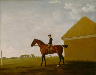 Turf, mit Jockey, in Newmarket von George Stubbs