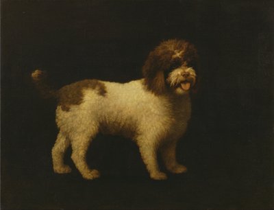 Wasserspaniel von George Stubbs