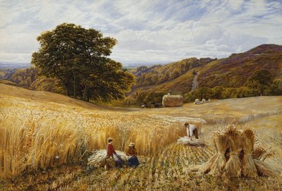 Erntezeit in der Nähe von Holmbury Hill, Surrey von George Vicat Cole