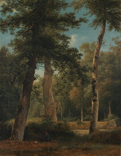 Ein Wald bei Fontainebleau von Georgius Jacobus Johannes van Os