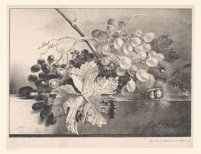 Stillleben mit Trauben und Kastanien von Georgius Jacobus Johannes van Os