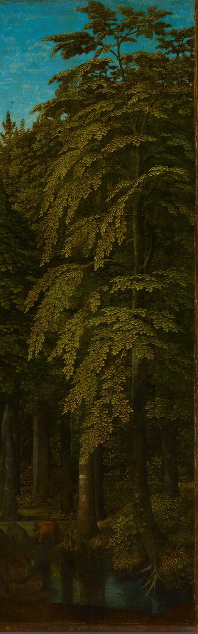 Ansicht in einem Wald, rechter Flügel eines Triptychons, ca. 1505-1515 von Gerard David