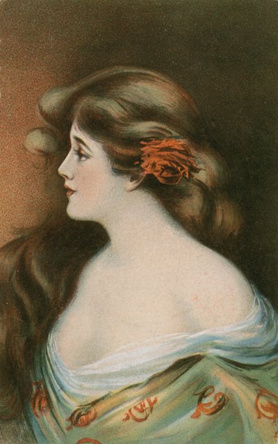 Schönheit mit langen braunen Haaren von German School