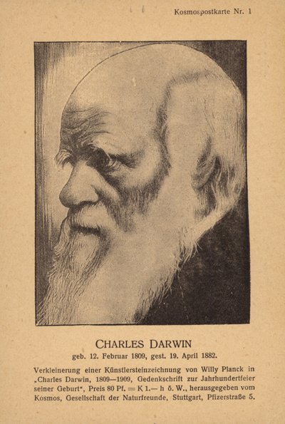 Charles Darwin, englischer Naturforscher von German School