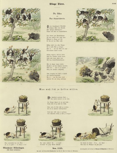 Kluge Tiere von German School