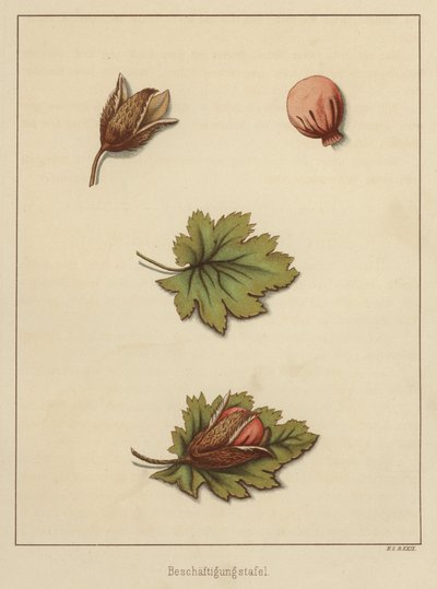 Handwerke von German School