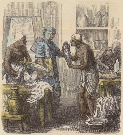 Einbalsamierung von Tieren im alten Ägypten von German School