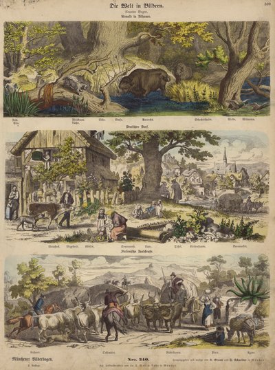 Europa: Wald in Litauen; deutsches Dorf; italienische Landstraße von German School
