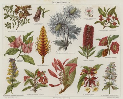 Blumen von German School