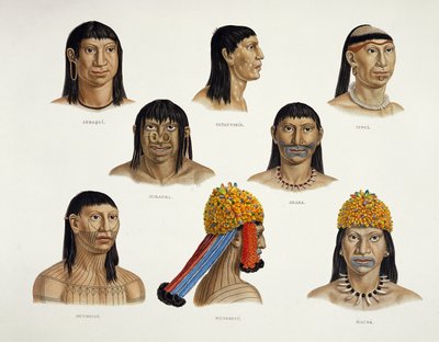 Köpfe südamerikanischer Indianer, aus Reisen in Brasilien von German School