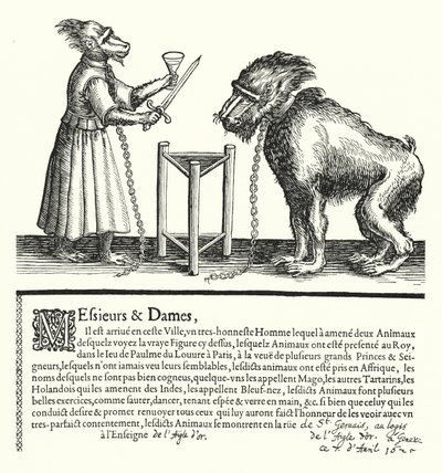 Einladung zu einer Ausstellung von Affen und Meerkatzen (Stich) von German School