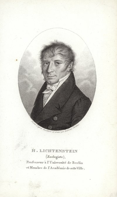 Martin Lichtenstein von German School