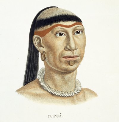 Einheimischer Mann des Yupua-Stammes mit gezupften und rasierten Haaren und einer Halskette aus Tierzähnen, aus Atlas einer Reise in Brasilien von Johann Baptist von Spix (1781-1826) und Karl Friedrich Philipp Martius (1794-1868) von German School