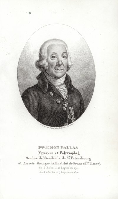Peter Simon Pallas von German School