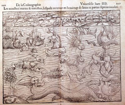 Tafel, die alle Arten von Meeres- und Landmonstern darstellt, die in nördlichen Regionen gefunden wurden: Xylographie aus Sebastien Münsters „Universal Cosmography“. Basel von German School