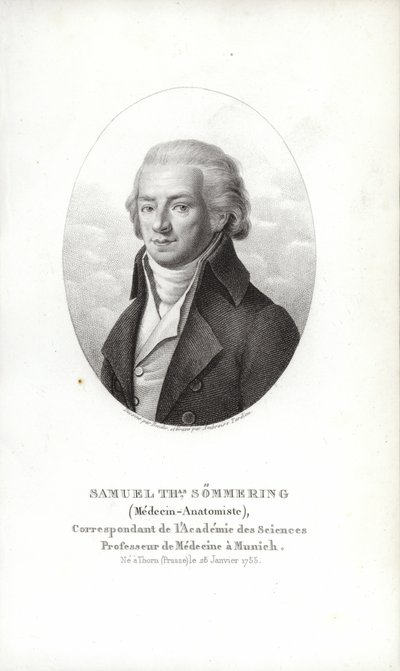 Samuel Thomas von Sömmerring von German School
