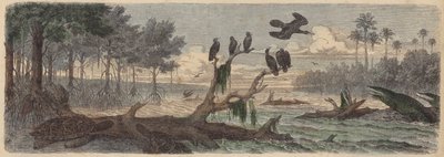 Südamerika: Mündung in Guyana von German School