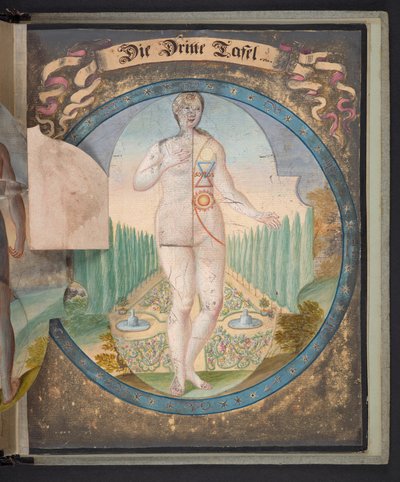 Darstellungen des Menschen in drei verschiedenen Zuständen, Add MS 5788 von German School