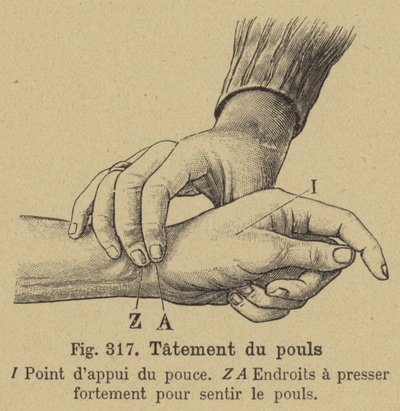 Pulsmessung am Handgelenk von German School