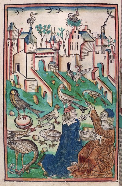 Die Vögel und Kreaturen der Luft, Illustration aus 