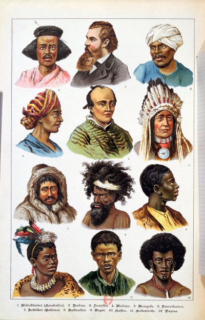 Die verschiedenen Menschenrassen, aus Naturgeschichte des Tierreichs von Gotthelf Heinrich von Schubert, 1861 von German School