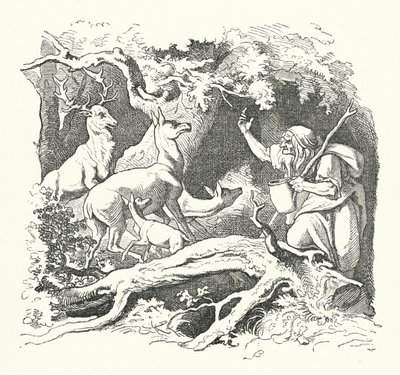 Die Hexe und die Kinder des Königs von German School