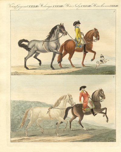 Das Pferd mit seinen verschiedenen Arten von German School