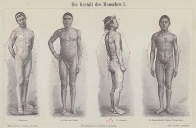 Die menschliche Figur (Stich) von German School