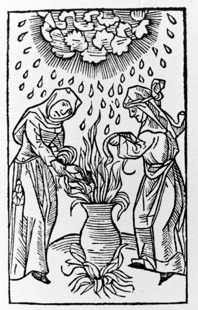 Zwei Hexen bereiten einen Trank zu, beschwören einen Hagelsturm - Gravur aus „de lanijs et phitonicis mulieribus“, Köln von German School