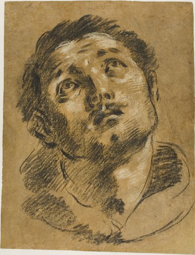 Kopf des Heiligen Stephanus: Studie für das Martyrium des Heiligen Stephanus von Giacomo Cavedone