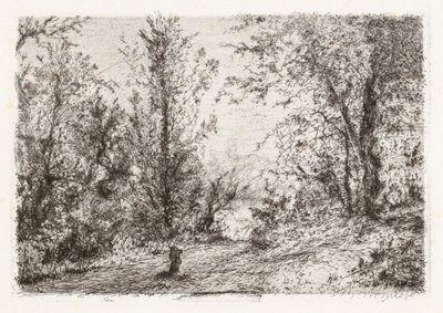 Wald am Lago Maggiore [Foresta sul lago Maggiore] von Giberto Borromeo