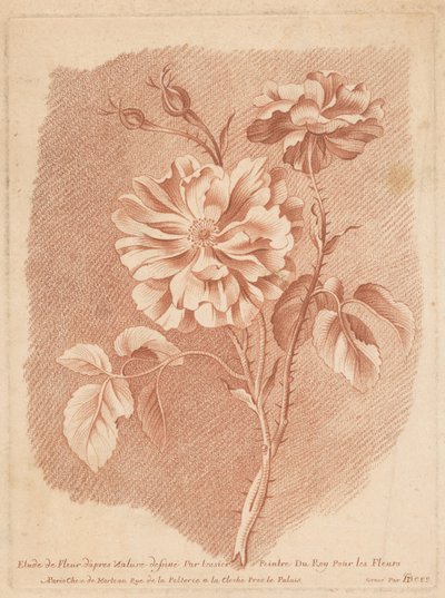Blumen von Gilles Demarteau