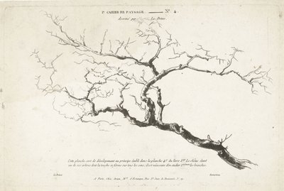 Studie eines kahlen Baumzweigs von Gilles Demarteau