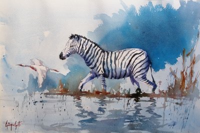 Afrikanisches Zebra im Wasser von Giorgio Gosti