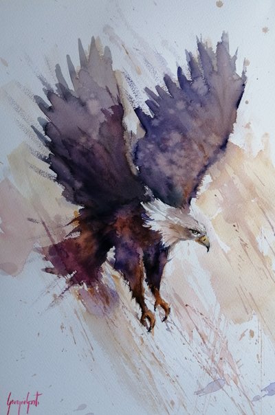 Dynamischer Adlerflug von Giorgio Gosti