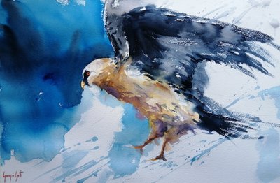 Dynamischer Aquarellvogel von Giorgio Gosti