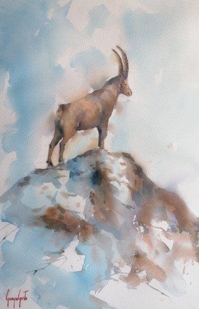 Majestätischer Alpensteinbock von Giorgio Gosti