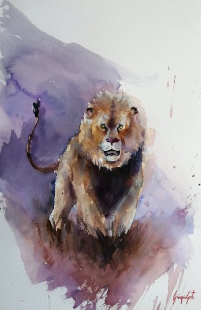 Kraftvoller Aquarelllöwe von Giorgio Gosti