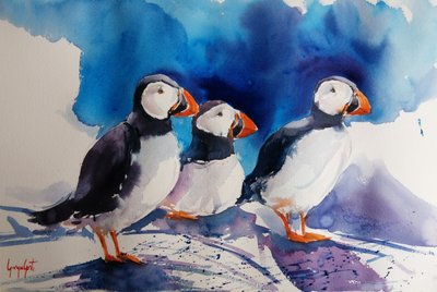 Drei Papageientaucher Aquarell von Giorgio Gosti