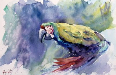 Lebendiger Aquarell-Ara von Giorgio Gosti