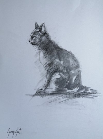 Wachsame Kohlekatze von Giorgio Gosti
