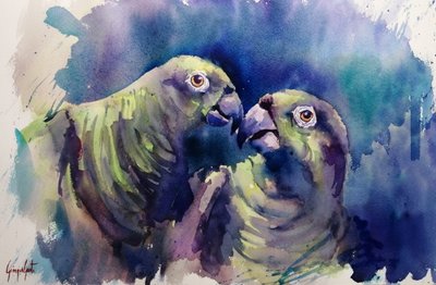 Aquarell Grüne Papageien von Giorgio Gosti