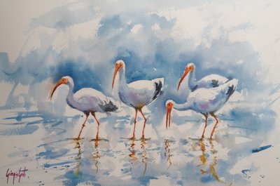Weißer Ibis Spiegelungen von Giorgio Gosti