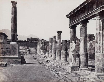 Östliche Kolonnade des Tempels der Venus Pompeiiana in Pompeji von Giorgio Sommer