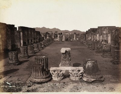 Gesamtansicht der Basilika, Ostseite, Pompeji von Giorgio Sommer