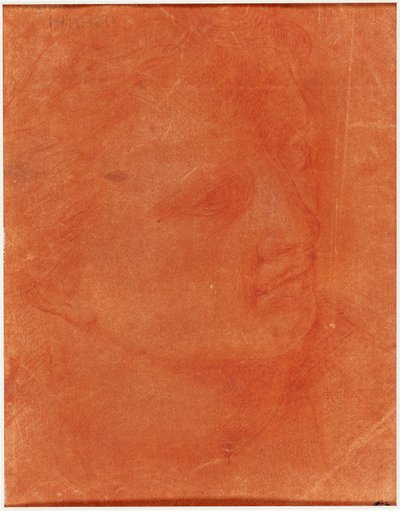 Kopf im Dreiviertelprofil (recto); Stehender junger Mann, der nach links zeigt und Skizzen von Füßen, Arm (verso) von Giorgione